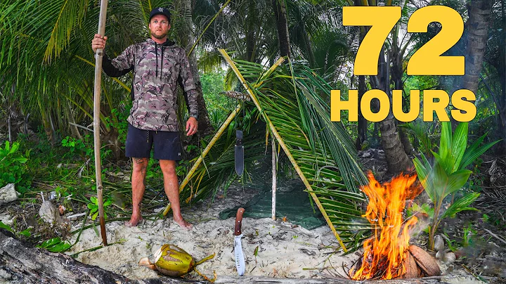 I Survived 72 Hours Alone on a Deserted Island – Starving and Thirsty