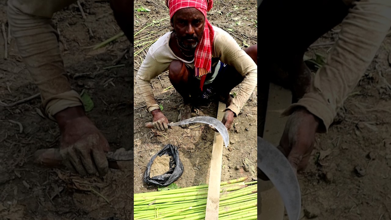 How Sickle Is Sharpened Traditionally? 