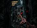 Luxury Wolf Lifestyle 😱 | Crores Worth Dangerous Pet #shorts #trendingshorts #entertainment