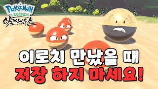 히스이 찌리리공과 함께하는 이로치 발견시 세이브 하면 안되는 이유