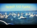 بحيرة تانا اثيوبيا بحيرة تانا اثيوبيا