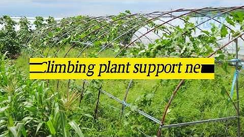 climbing plant support net