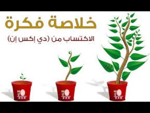 فيديو: أفكار وخيارات عمل بأقل قدر من الاستثمار