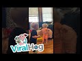 Babies Fight Over Toys || ViralHog