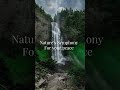 Whispers of Waterfall | Relax & Heal