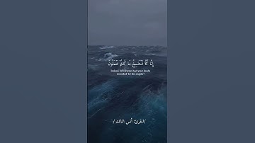 سورة الجاثية القارئ أنس المالك