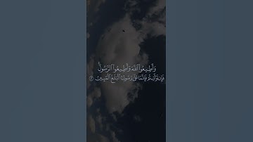 #سورة_التغابن