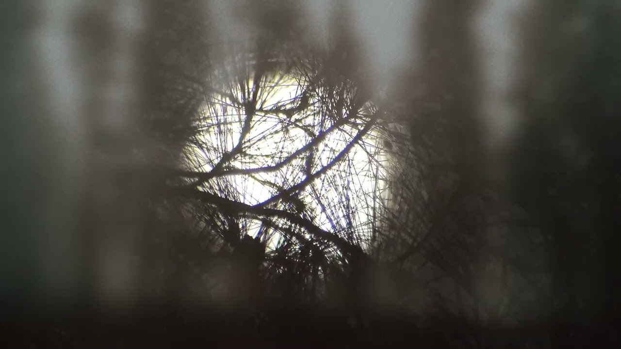 A Stitch in Time - Reject (Lyric Video)