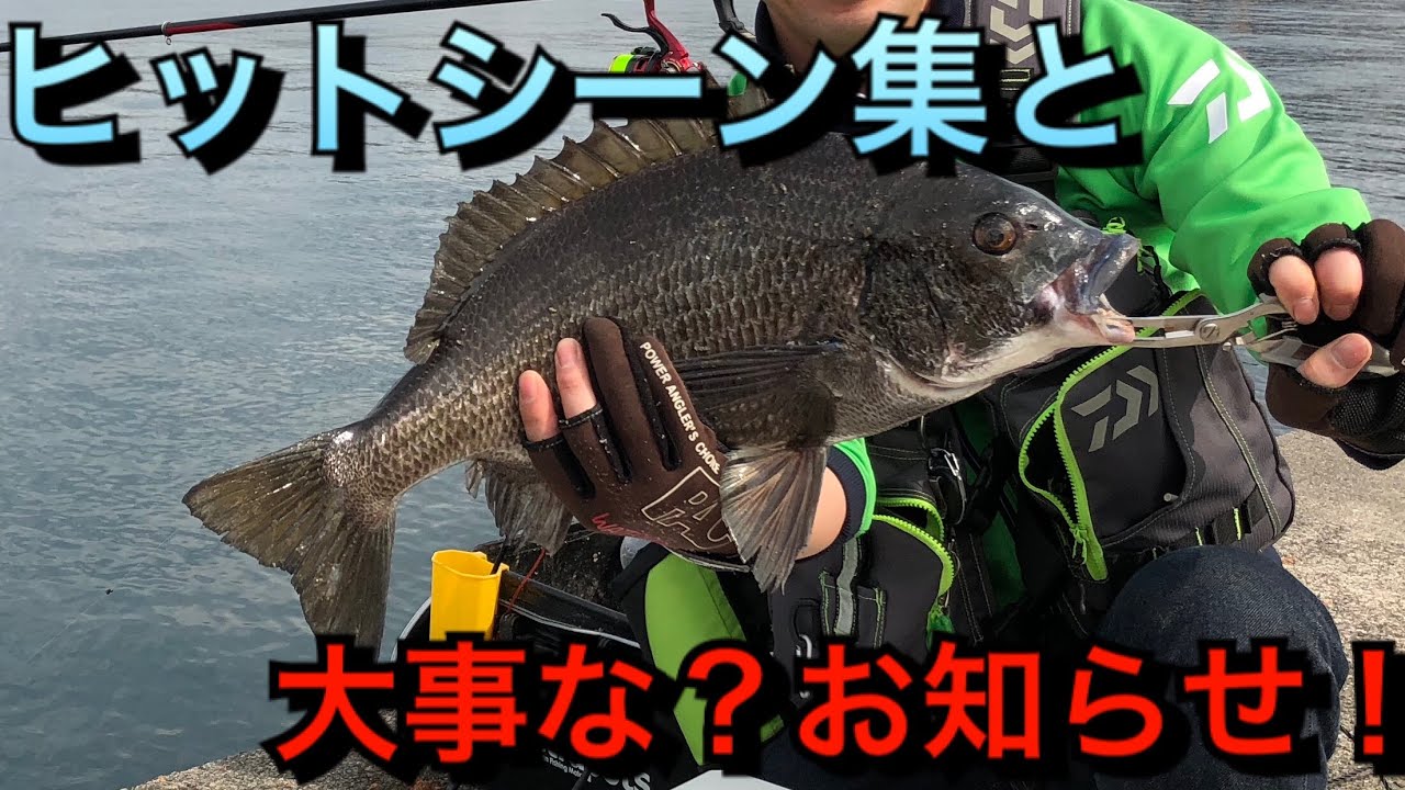 紀州釣り チヌ釣りウキ無しダンゴ釣りヒットシーン と大事なお知らせ Youtube
