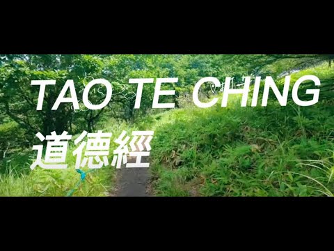 Unlock Your Inner Power: The Astonishing Truth About Wu Feet