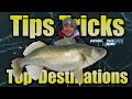 AnglingBuzz Ice Show 4: Ice Fishing Walleyes: Tips, Tricks, and Top Destinations