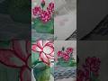 শান্তি শান্তি রং #handembroidery #art #painting #bollywood #handembroideryforbeginners #drawing