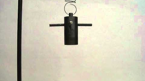 Wilberforce Pendulum