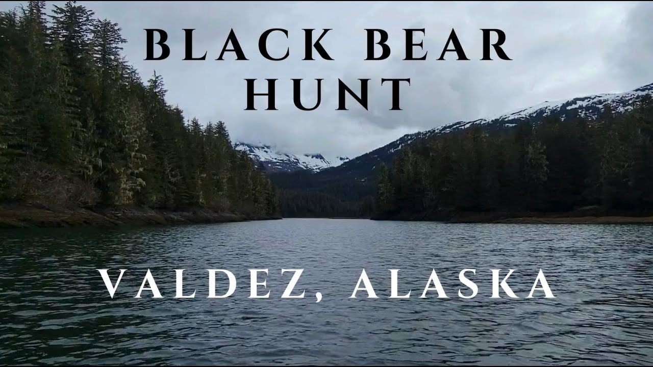 Alaskan Spot & Stalk Bear Hunt