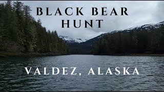Alaskan Spot & Stalk Bear Hunt