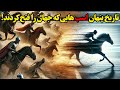 رازهای تکامل اسب از حیوانی وحشی تا یاور همیشگی انسان ها 