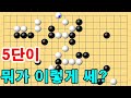 5단이 이렇게 잘둬도 돼는겁니까