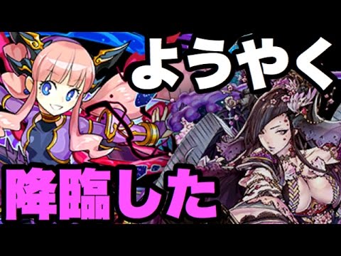 今更ティフォンアナ使ってみた！【パズドラ】