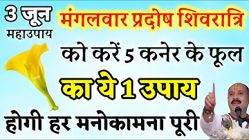 4 जून ज्येष्ठ प्रदोष शिवरात्रि को 5 कनेर के फूल वाला उपाय बना देगा करोड़पति  - pradeep mishra