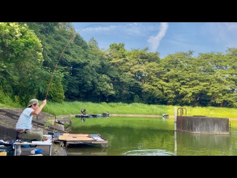 秘蔵 芳賀故城　コイの釣り方　シカケ・ポイント・釣技のすべて　金園社 秘蔵 芳賀故城 コイの釣り方 シカケ・ポイント・釣技のすべて 金園社