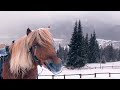 Zakopane - Wonderful Tourist Trap [Kult America]