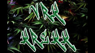 Vrk X Krekk-Áldás És Átok