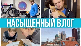 Быт, еда, работа. "Офигеть не встать" квартира. Временное облегчение #pixelsoflife