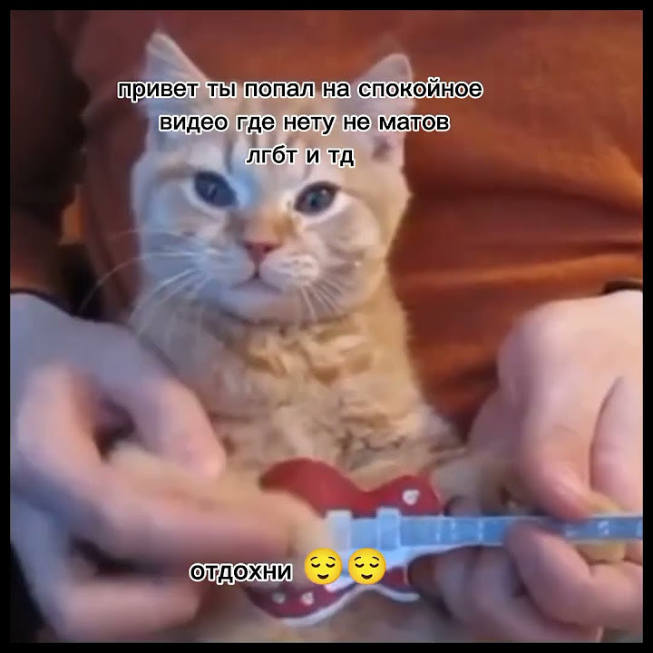 отдохните 😌😏 - YouTube