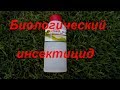 АКТОФИТ против тли и короладского жука