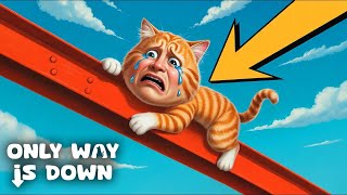My Cat Is TRAPPED on the Building | Only Way Is Down
