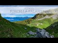 Forcella Palantina // Alpago