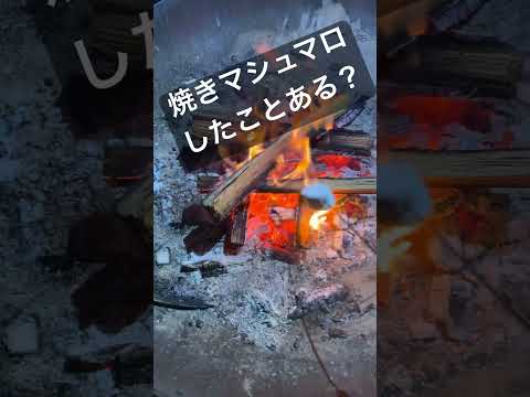 焼きマシュマロ美味！　#焼きマシュマロ　#マシュマロ　#キャンプ　#美味　#キャンプメシ　#したことある？　#楽しい　#暑い　#熱い　#ゆうTube