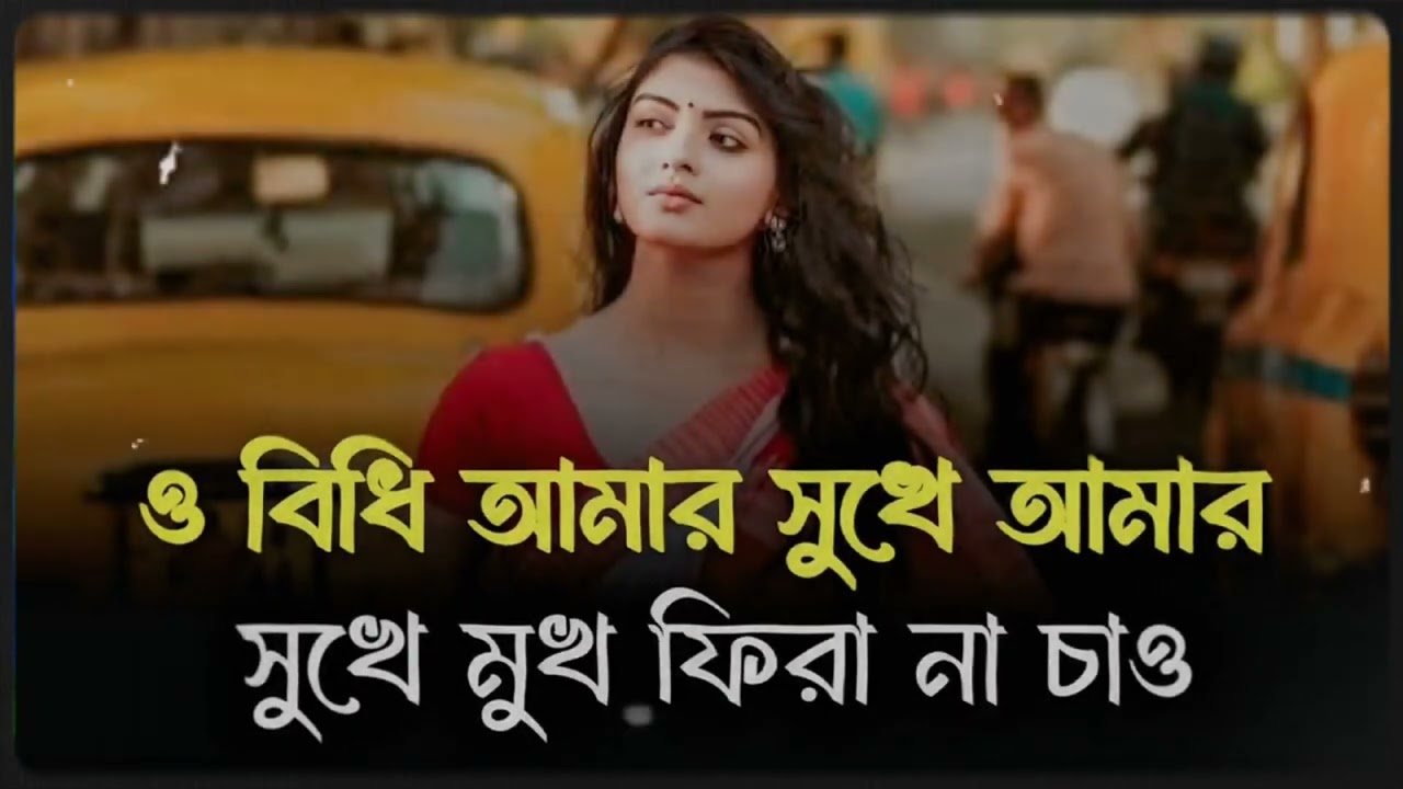 ও বিধি আমার সুখে আমার সুখে মুখ ফিরা না চাও | O Bdi Amar Sukhe | Tik Tok Vairal song 2026 Lo-Fi Song