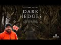 Capturing the Dark Hedges.........Without the forecasted fog!