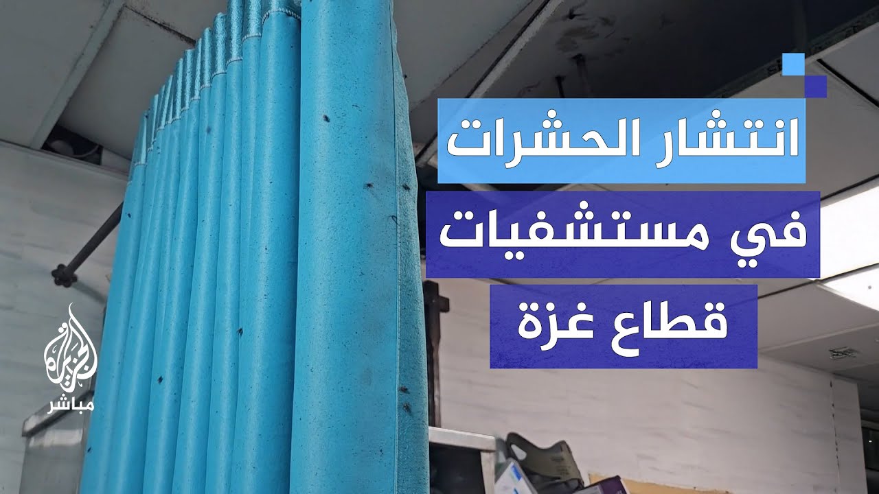 انتشار الحشرات في مستشفيات غزة.. إسرائيل تمنع إدخال المنظفات اللازمة للقطاع