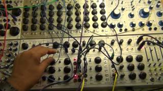 Buchla 212r  - Dodecamodule - acid addicton