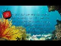 ورد سورة الواقعة بعد العصر مكررة 14 مرة لفتح أبواب الرزق