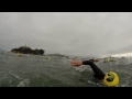 Escape! What it's like to swim the Alcatraz Sharkfest Race