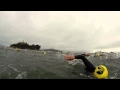 Escape! What it's like to swim the Alcatraz Sharkfest Race