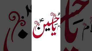 slam mola Hussain as #nohay#abbasalamdar #alam