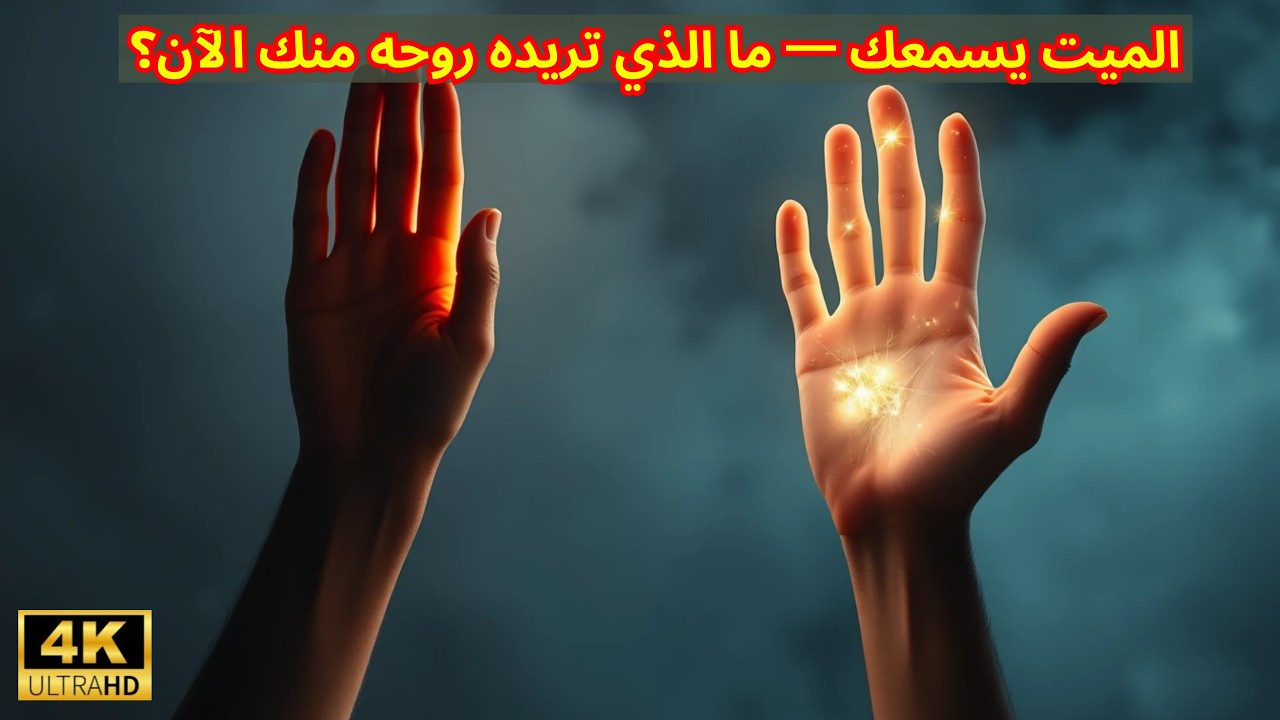 ماذا يحدث لروحك في أول ٤٠ يوماً بعد الموت؟ — العلم والإسلام يتفقان