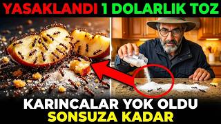 1 Dolarlık Toz 24 Saatte Karınca Kolonisini Yok Etti. 12 Eyalet Yasaklandı. Uzmanlar Nefret Ediyor!!