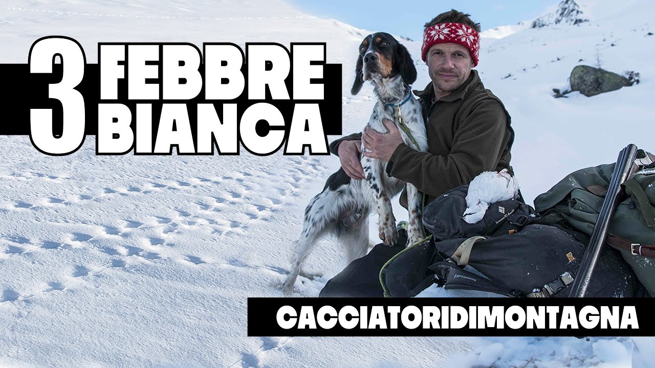 Febbre Bianca | Caccia alla Pernice Bianca con il Setter Inglese