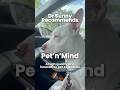 Dr Sunny Recommends Best Pet Store In Fort Lauderdale
