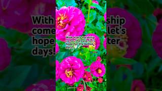 With Every Hardship Comes Ease keep D faith better Days Are Coming love spreadpositivity short