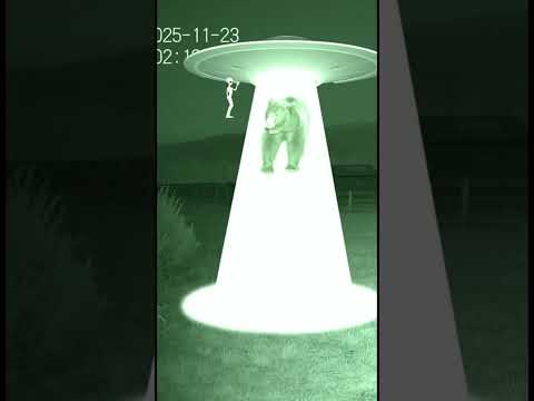 クマ被害を減らす為に監視カメラ仕掛けたら宇宙人と遭遇してた！ｗｗｗ【Sora2】