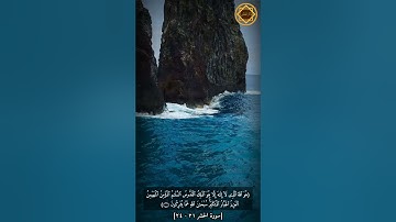 أواخر سورة الحشر 🌴 تلاوة تهتز لها القلوب بصوت القارئ: أحمد النفيس 💚 أرح سمعك 😌 أجمل حالات الواتس أب💌