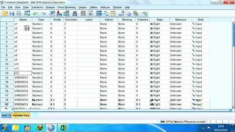 Evaluating Validity, Reability, and Descriptive Statistics of a Questionnaire Using SPSS