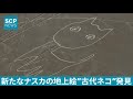 南米ナスカの地上絵に巨大ネコ発見