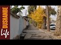 Осень в Душанбе #3 (Поворот на пивзавод, бывший Индустриальный техникум, киностудия "Таджикфильм")